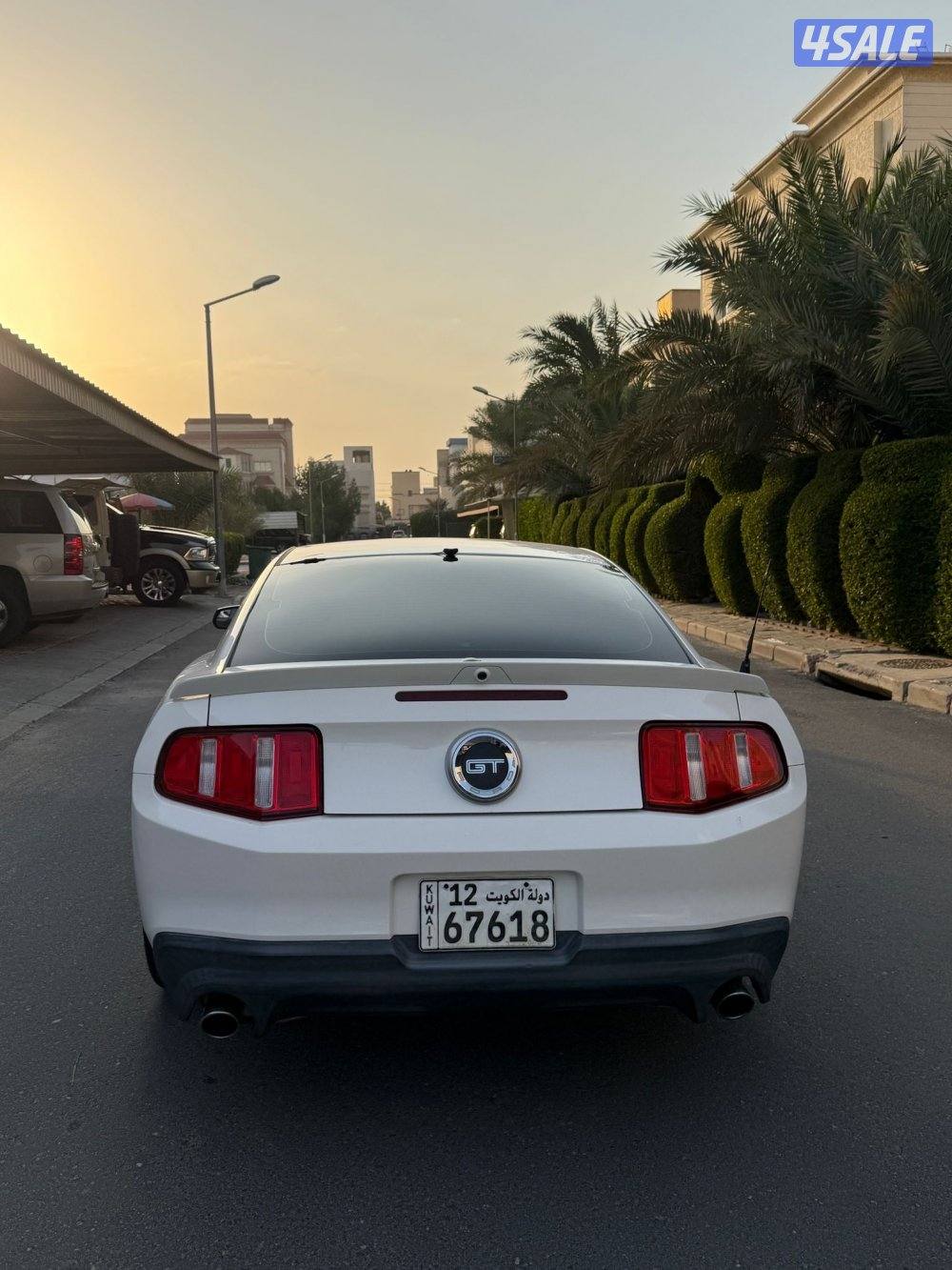 موستنق 5.0 قير عادي0