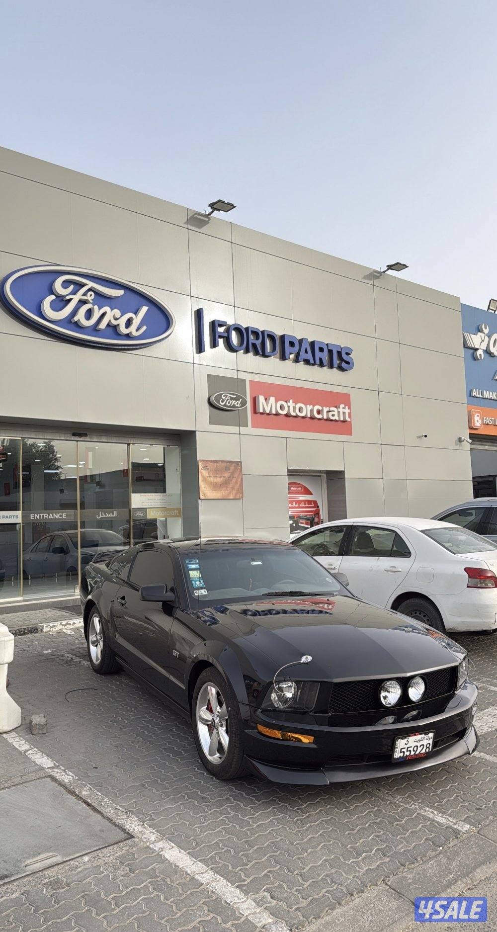 للبيع موستنق0