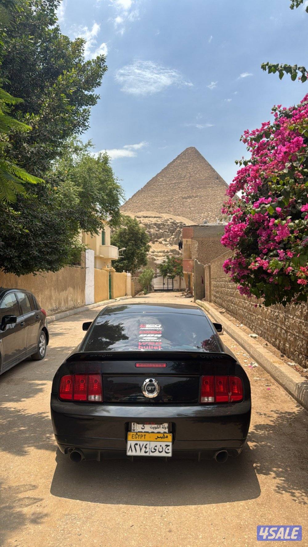 للبيع موستنق3