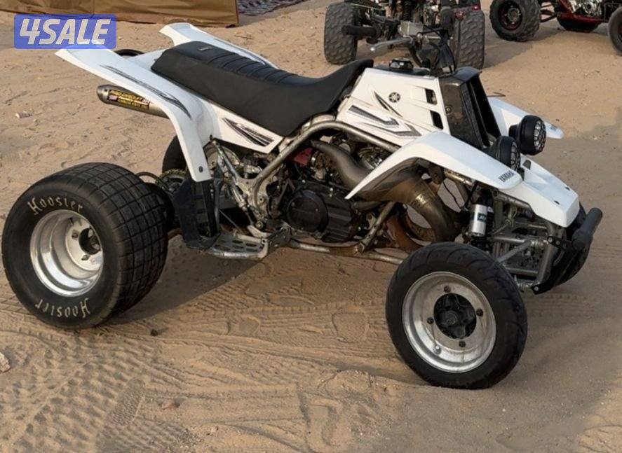 🛑 للبيع فقطط بانشي 🛑0