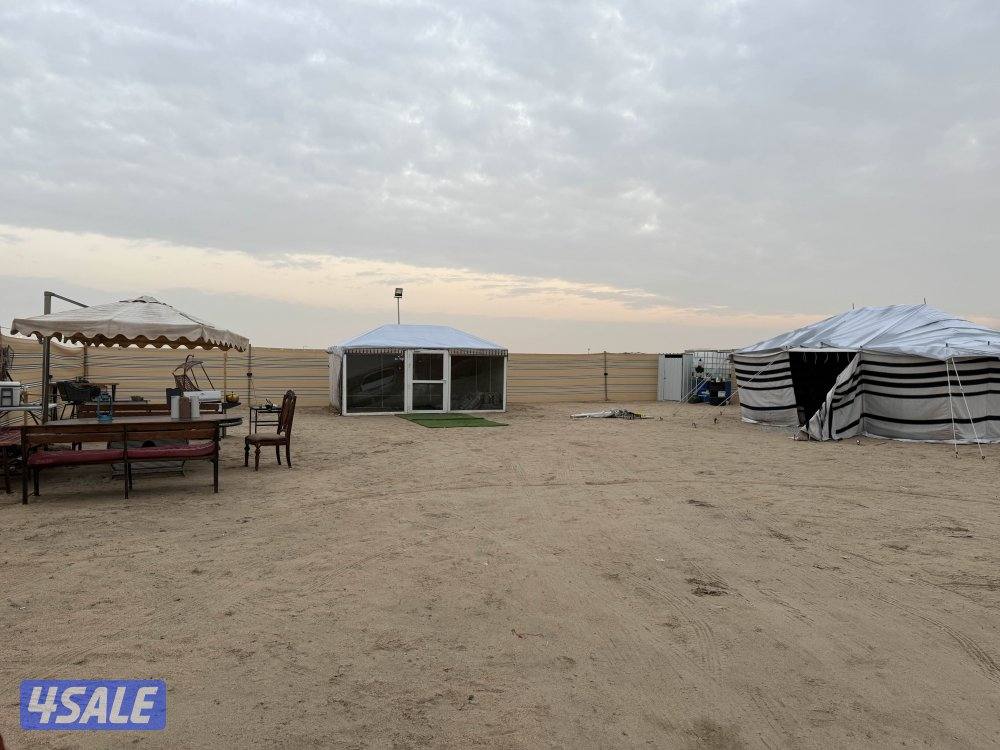 مخيمً مرتب كبد الدوار الرابع هادي وحلو8