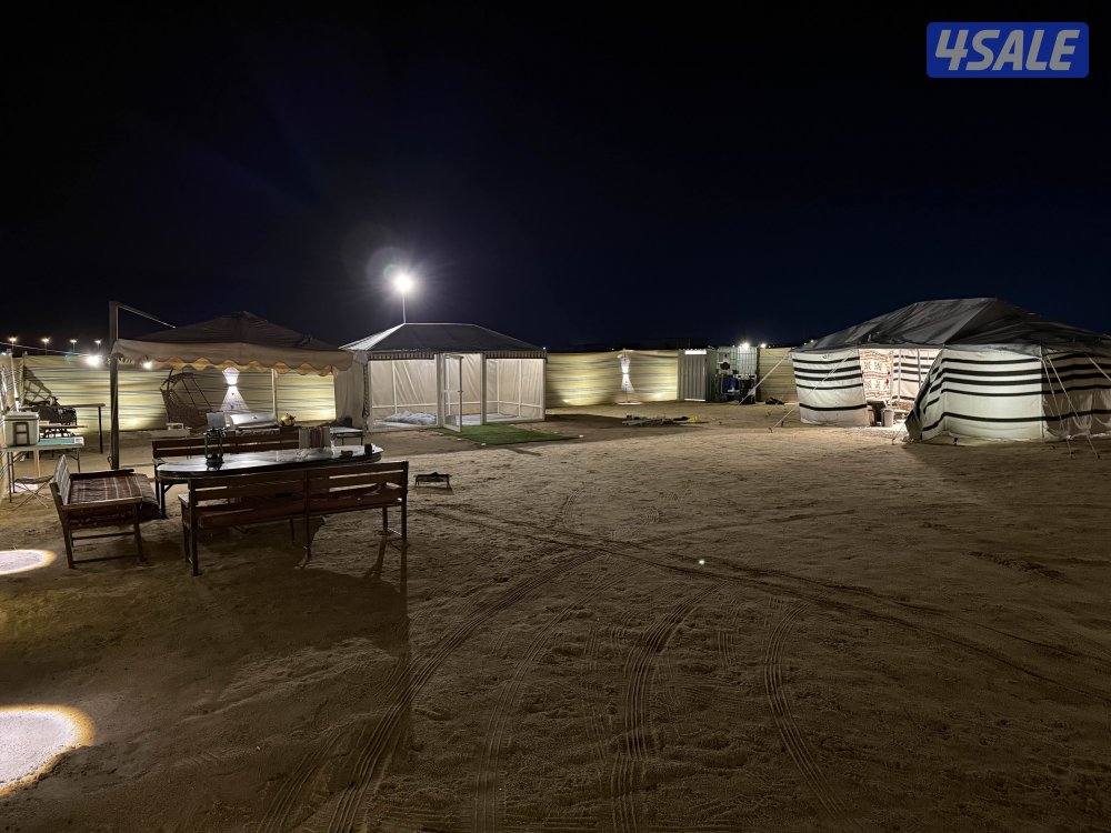 مخيمً مرتب كبد الدوار الرابع هادي وحلو10