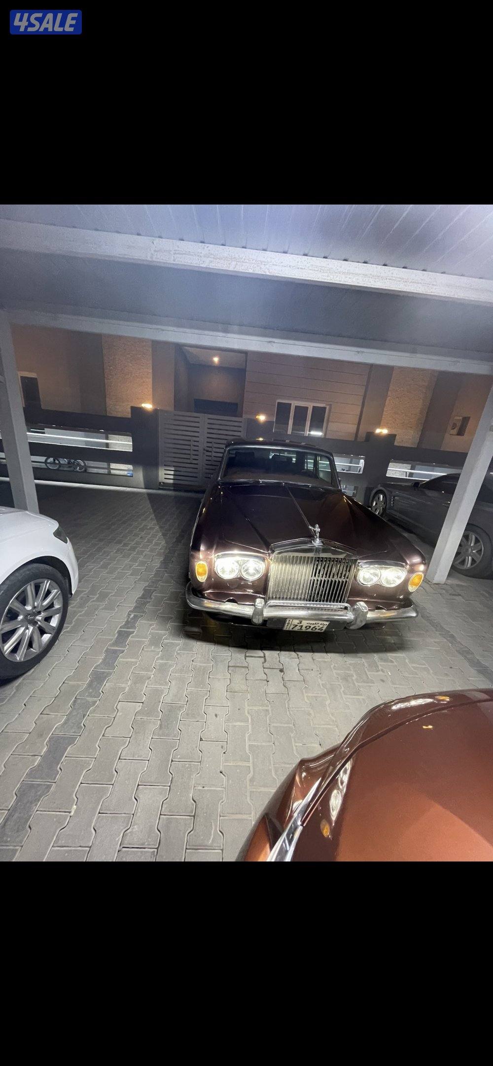 روز رايز 19744