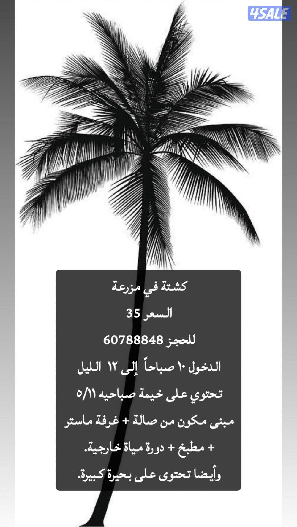 للايجار كشته في مزرعه0