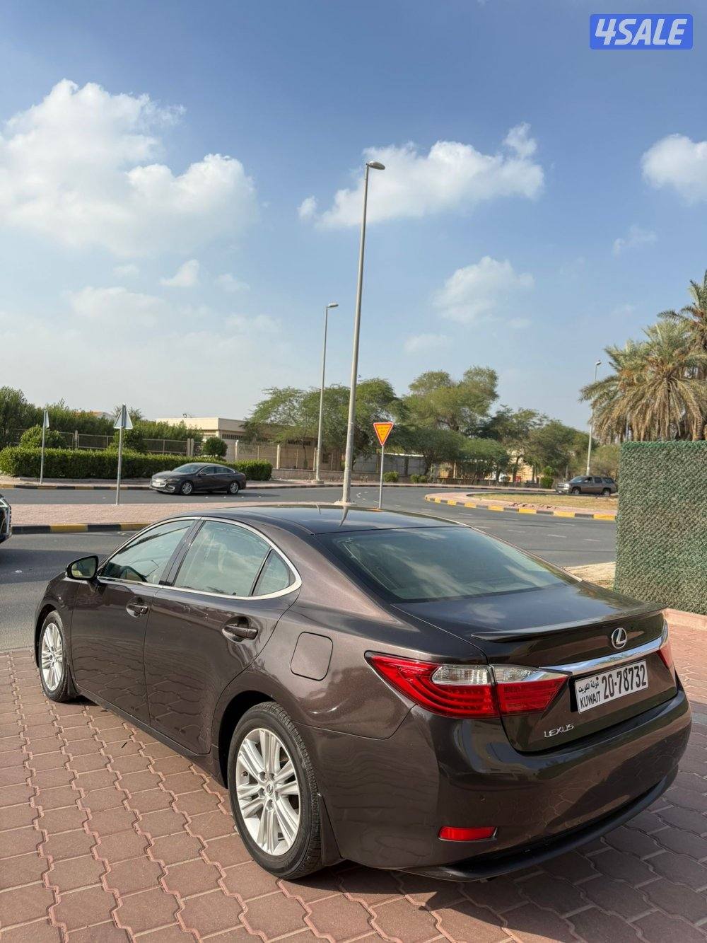 ES250 شرط الفحص1