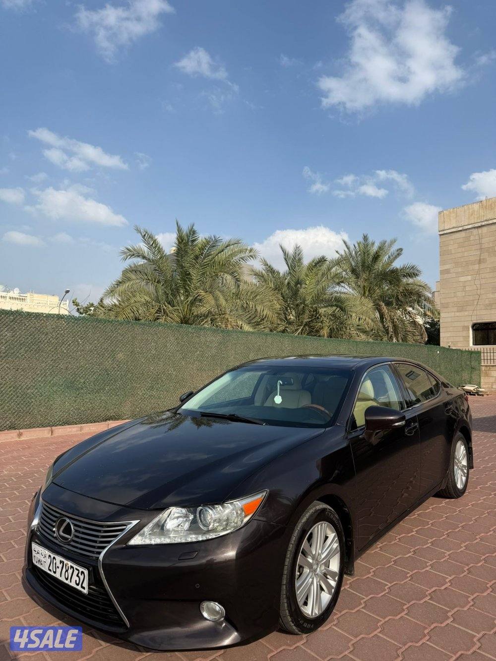 ES250 شرط الفحص7