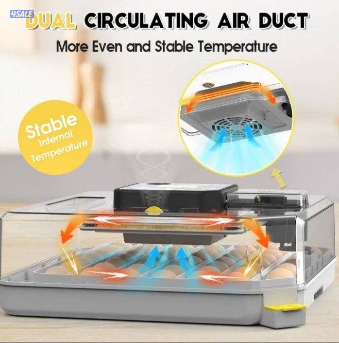 🪺فقاصة شقرديه٢ وسط🐦9