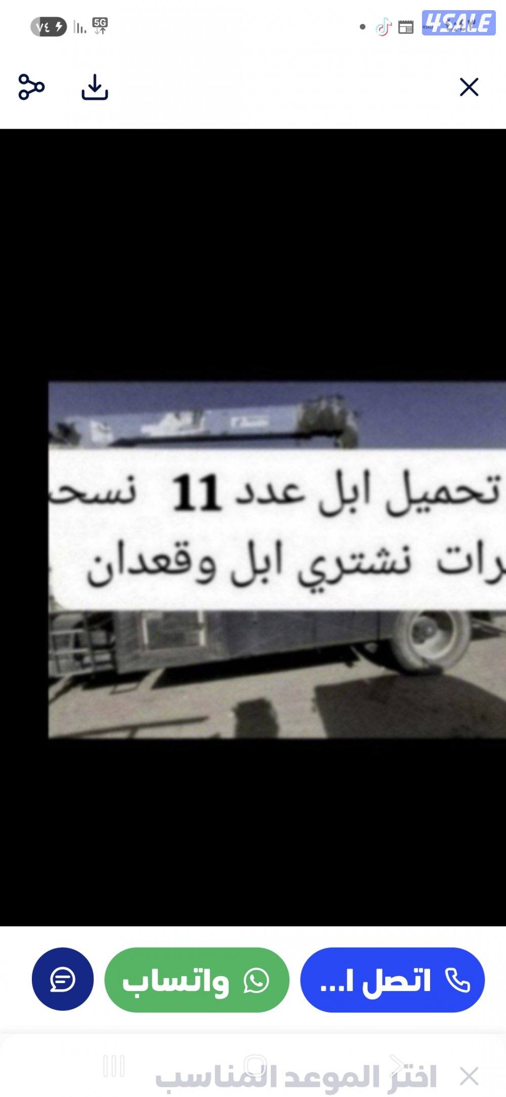 نشتري ابل وحشوونش تحمل ابل العدد120