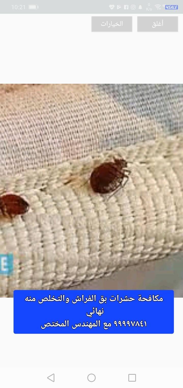 مكافحه حشرات مكافحة صراصير المطابخ مكافحه الفيران  الطيور3