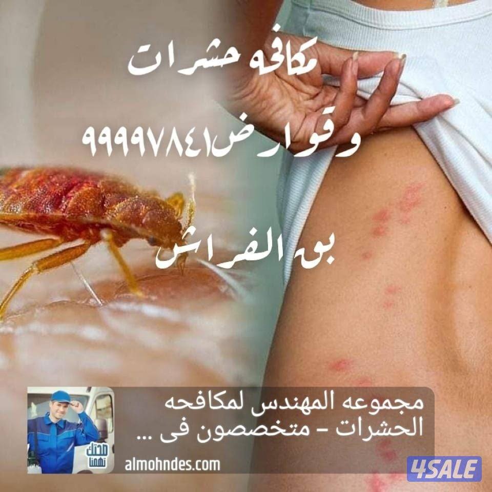 مكافحه حشرات مكافحة صراصير المطابخ مكافحه الفيران  الطيور7