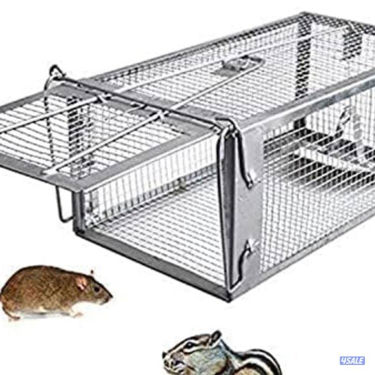 مكافحه حشرات مكافحة صراصير المطابخ مكافحه الفيران  الطيور9