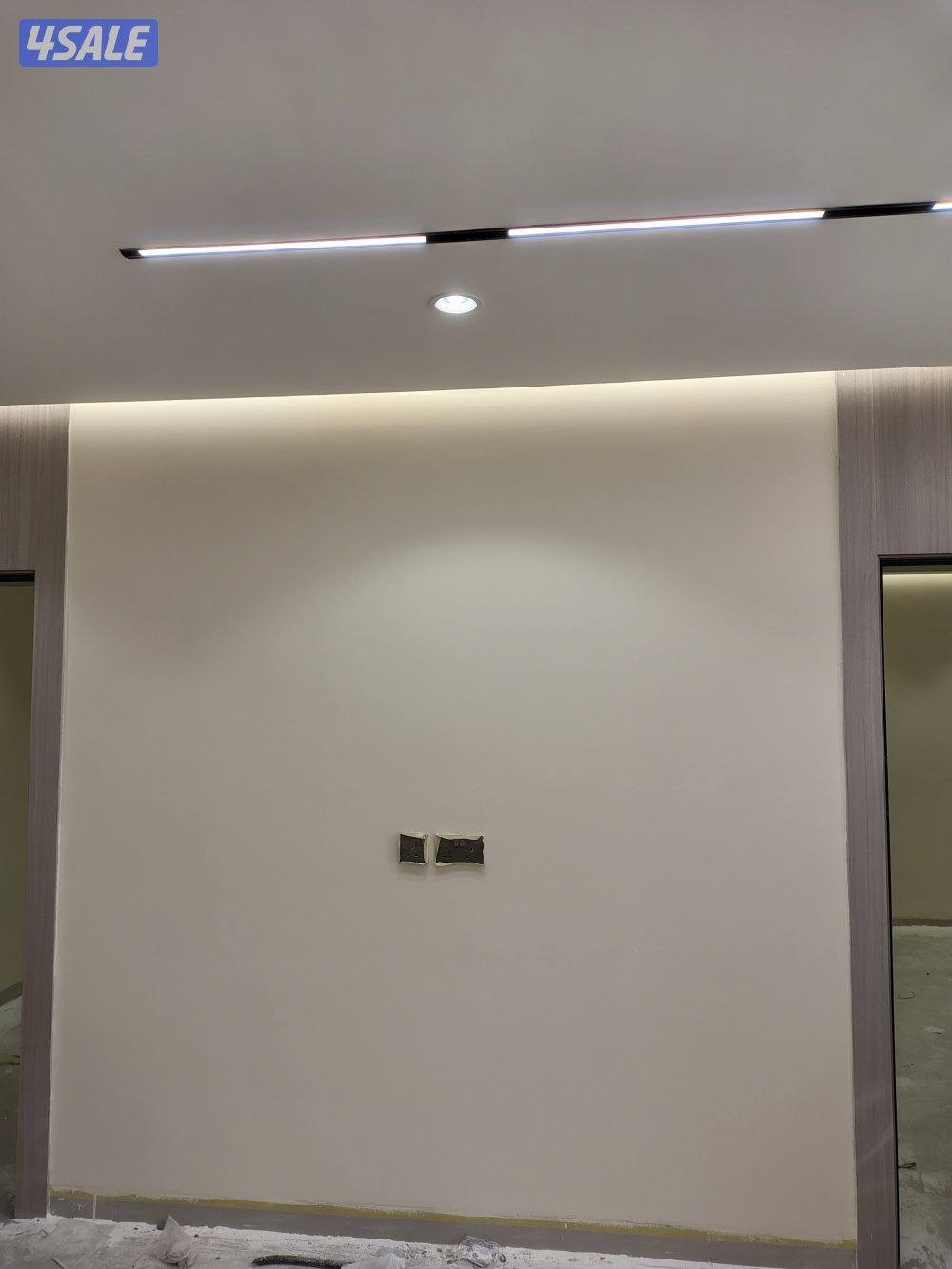 اصباغ باکستانى1