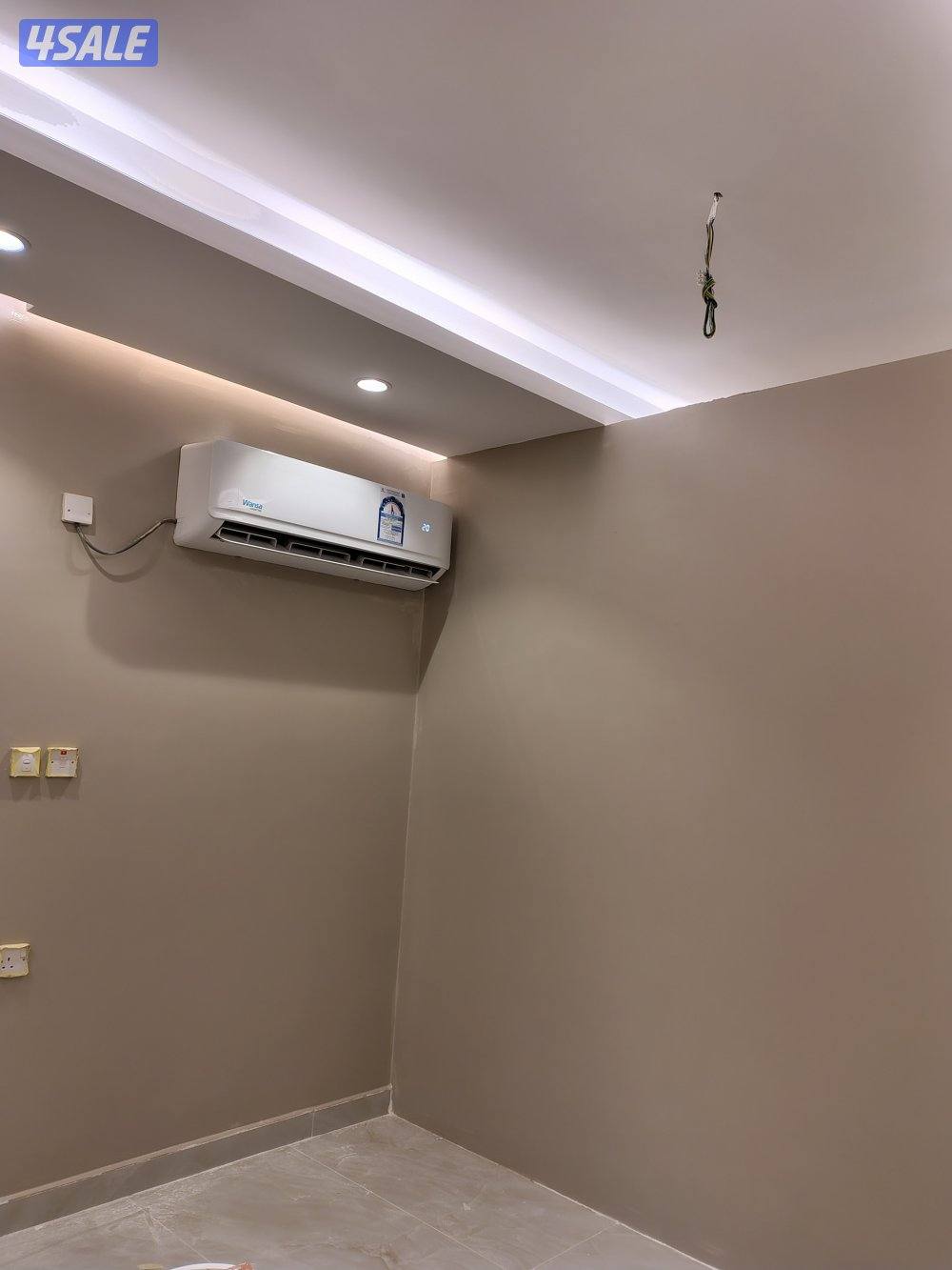 اصباغ باکستانى3