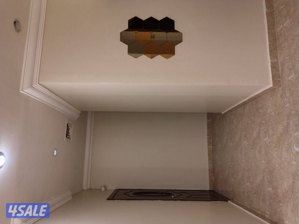 اصباغ باکستانى2