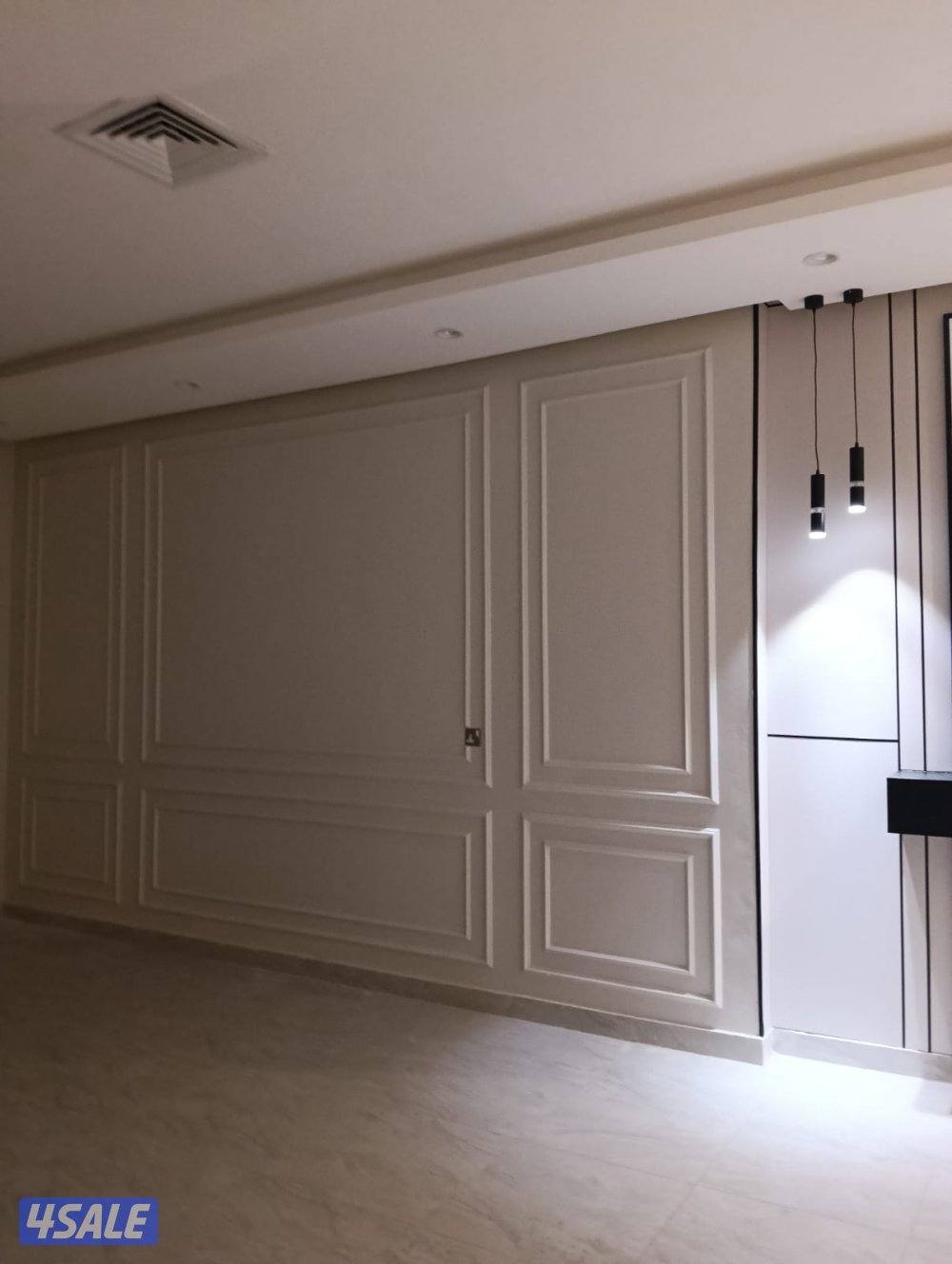 اصباغ باکستانى6