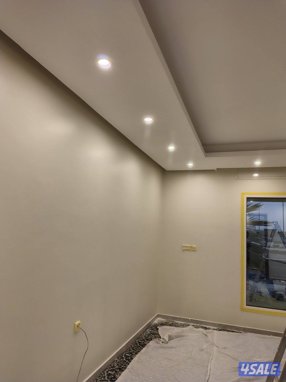 اصباغ باکستانى8