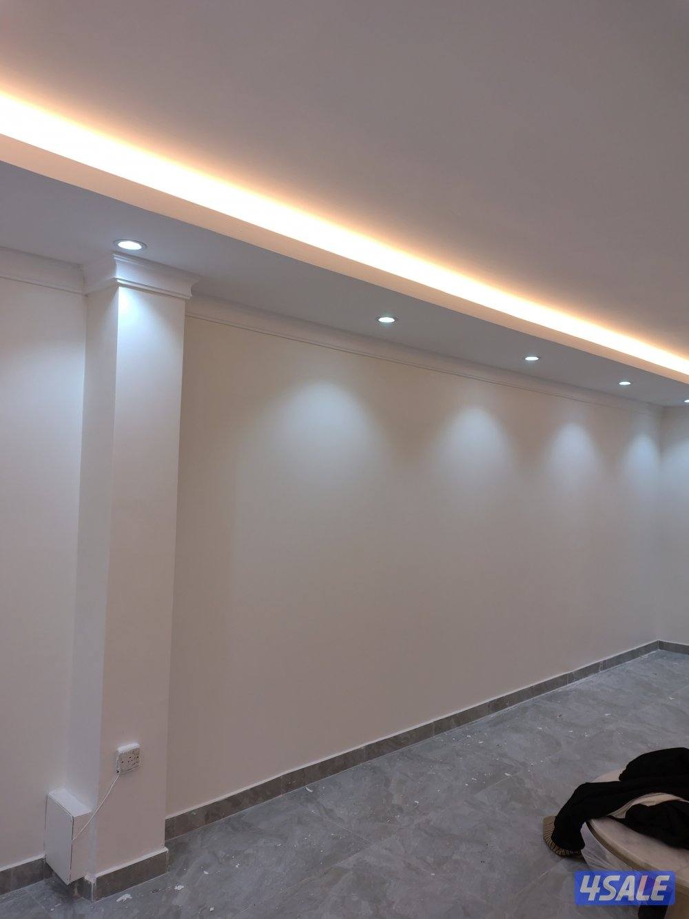 اصباغ باکستانى10