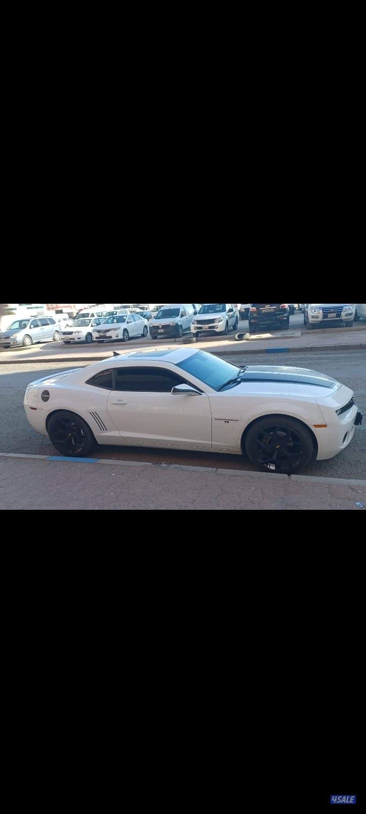 کامارو ۲۰۱۳1