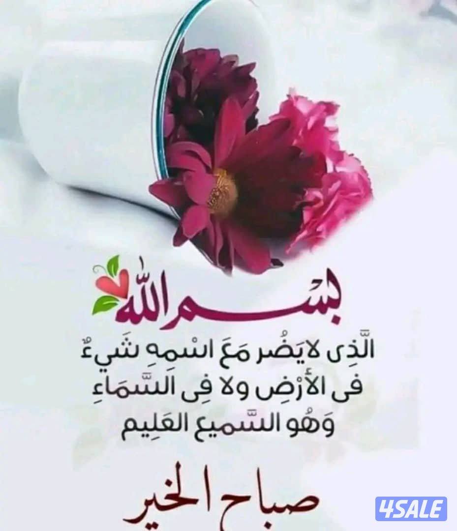 مدرس إسلامية وتحفيظ قرآن عام ومعاهد دينية0