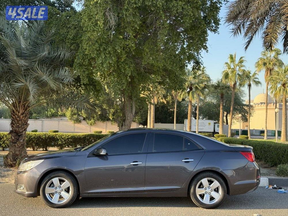 ماليبو صبغ الوكاله0