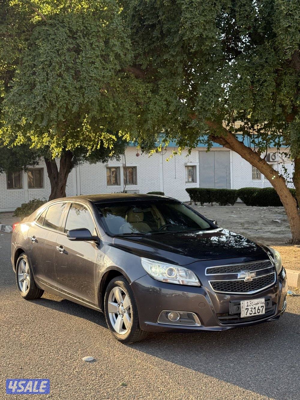 ماليبو صبغ الوكاله2