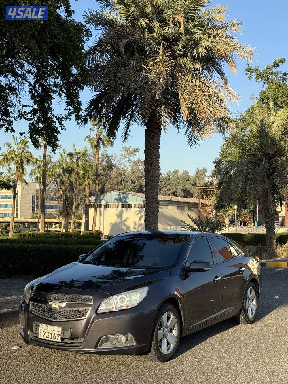 ماليبو صبغ الوكاله3