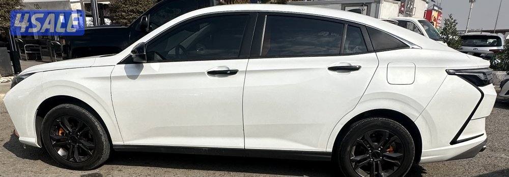 دي أف ام 20258