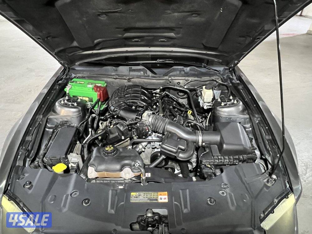 للبيع موستنق وارد امريكا 6 سلندر ماشي 275 الف كيلو8