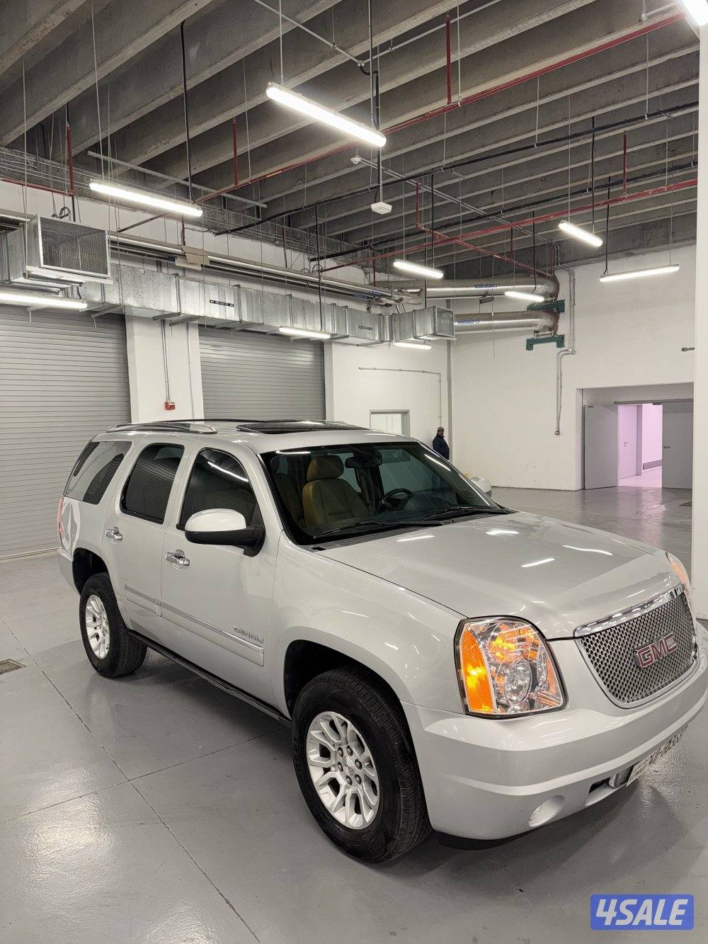 دينالي للبيع1