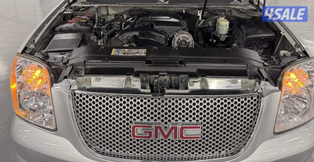 دينالي للبيع2