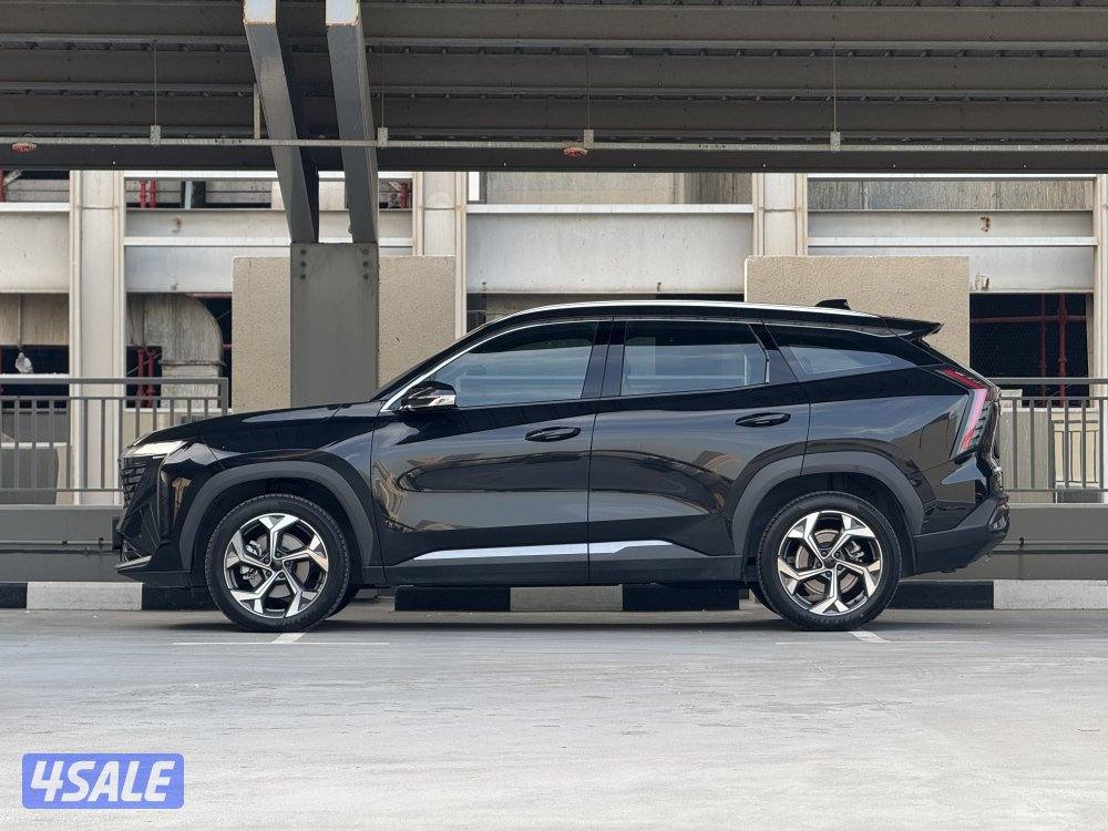 Starray GF / 2024 / صبغ الوكالة1