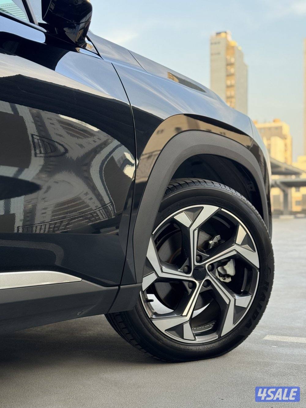 Starray GF / 2024 / صبغ الوكالة5