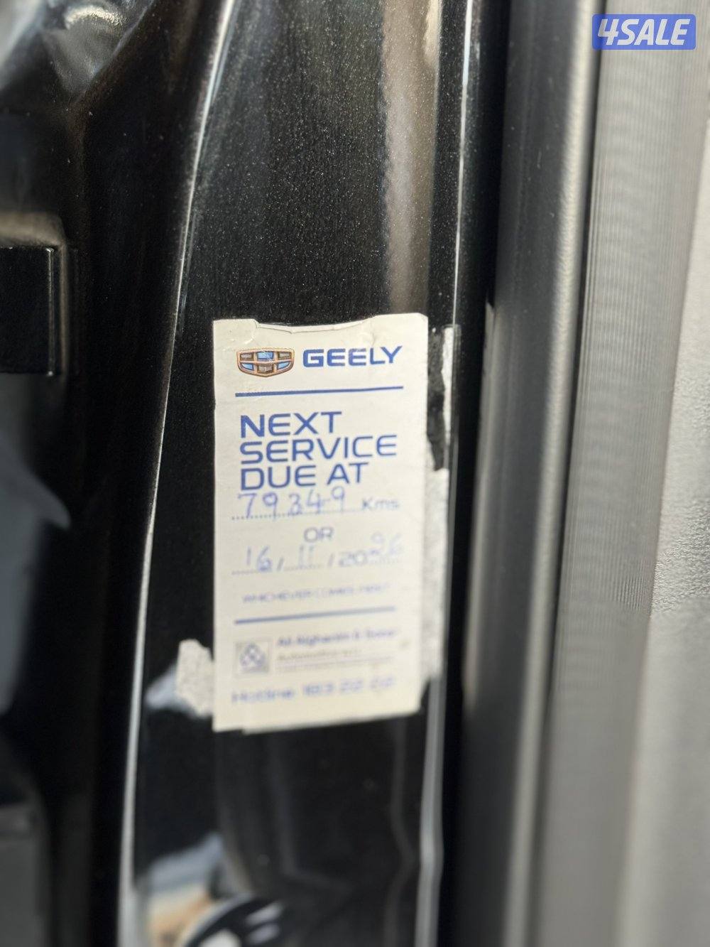 Starray GF / 2024 / صبغ الوكالة6