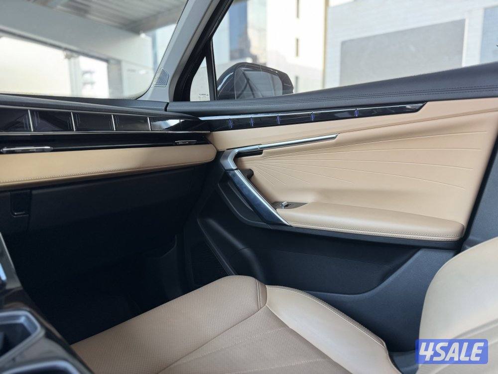 Starray GF / 2024 / صبغ الوكالة10