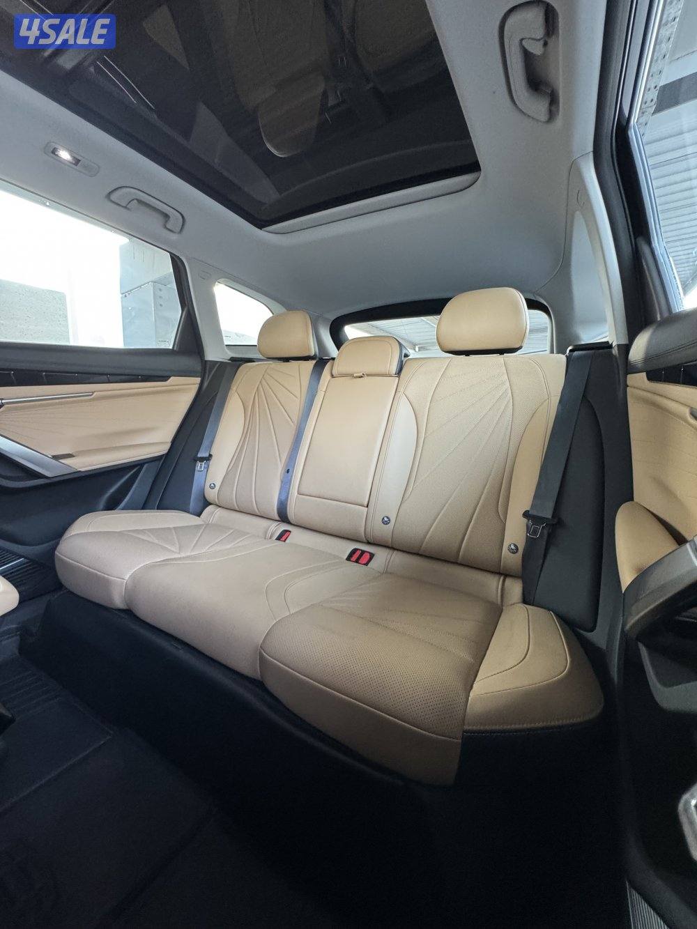 Starray GF / 2024 / صبغ الوكالة11