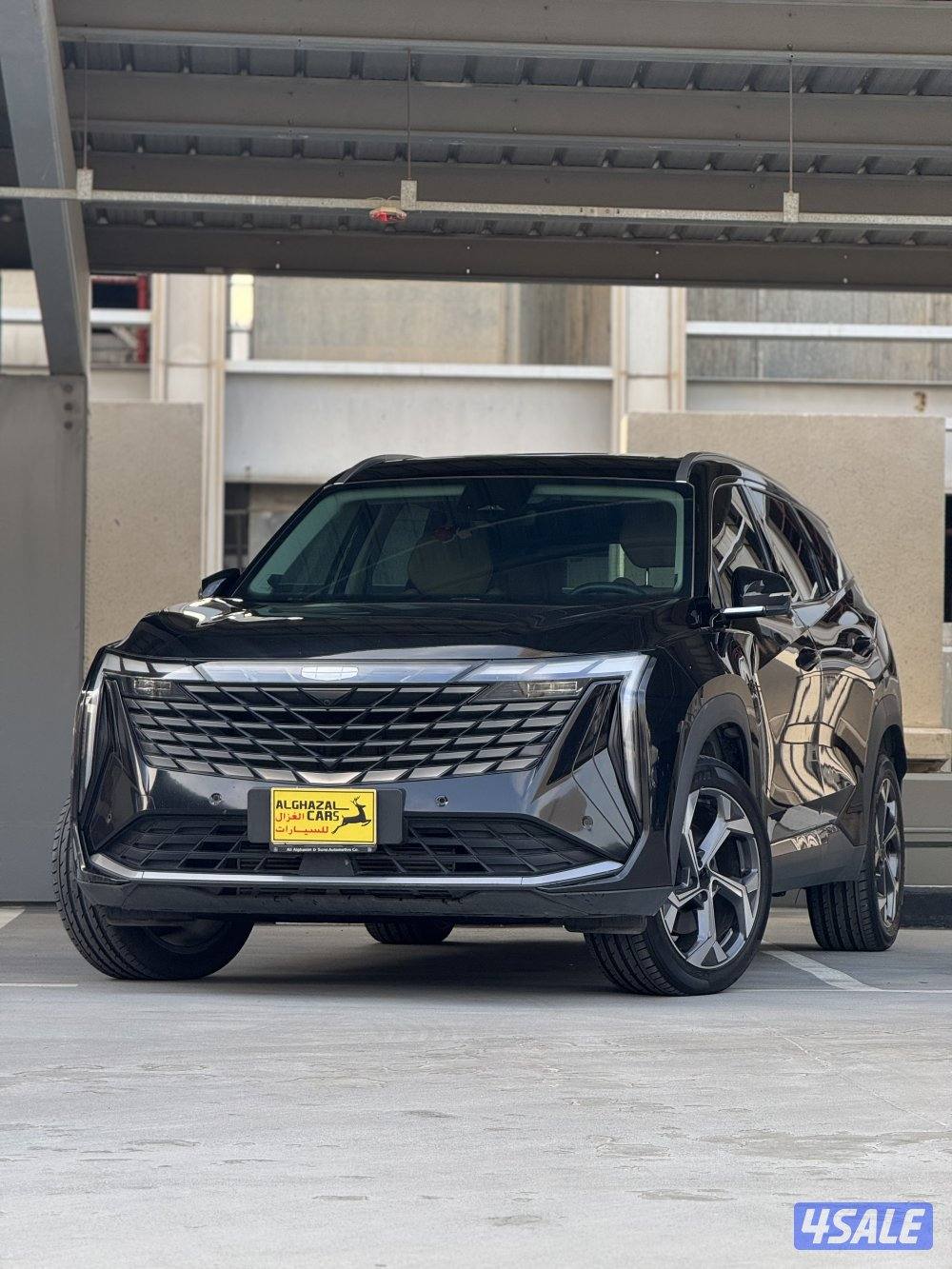 Starray GF / 2024 / صبغ الوكالة14