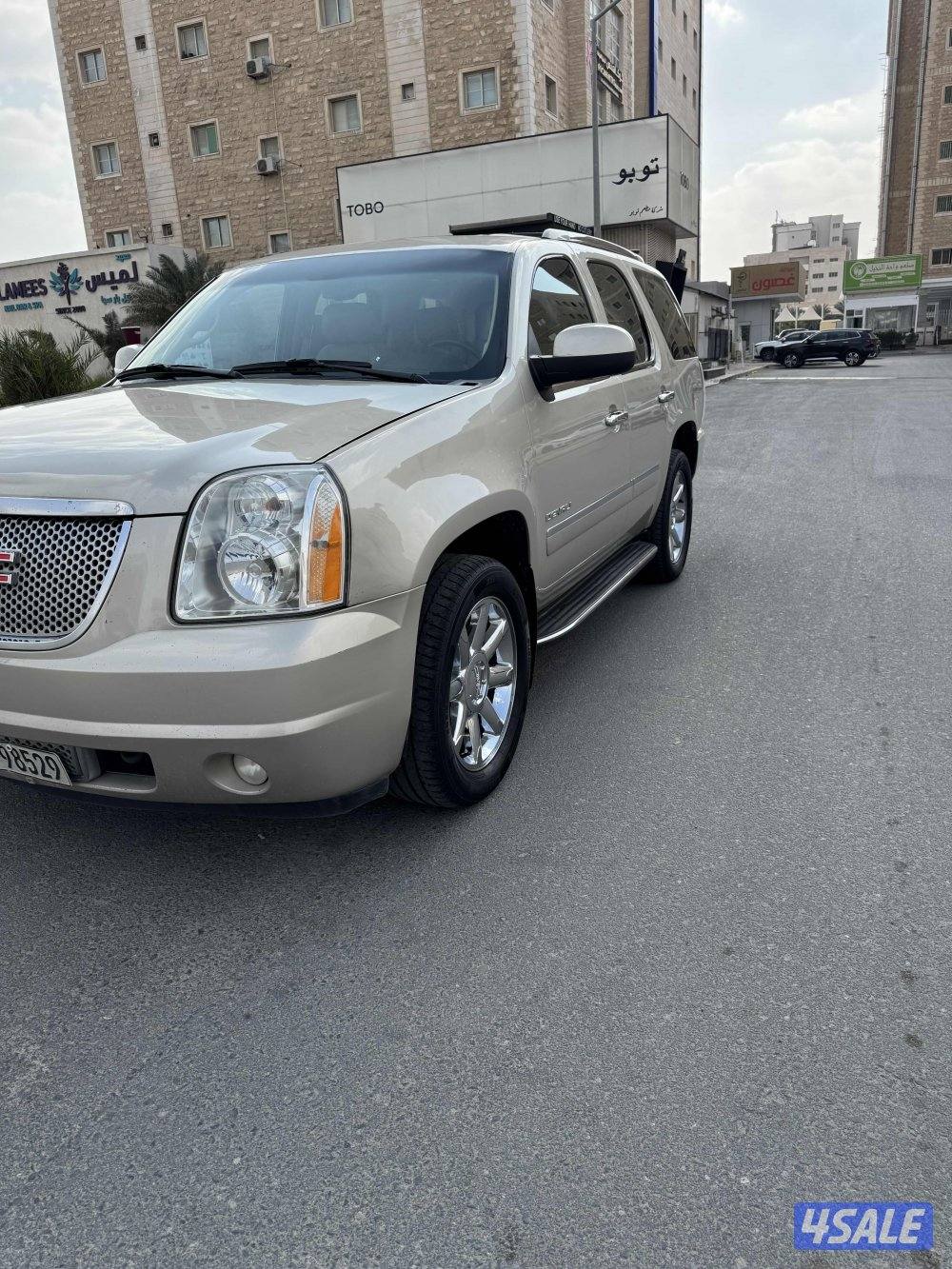 دينالي صبغ وكاله ٢٠١٤4