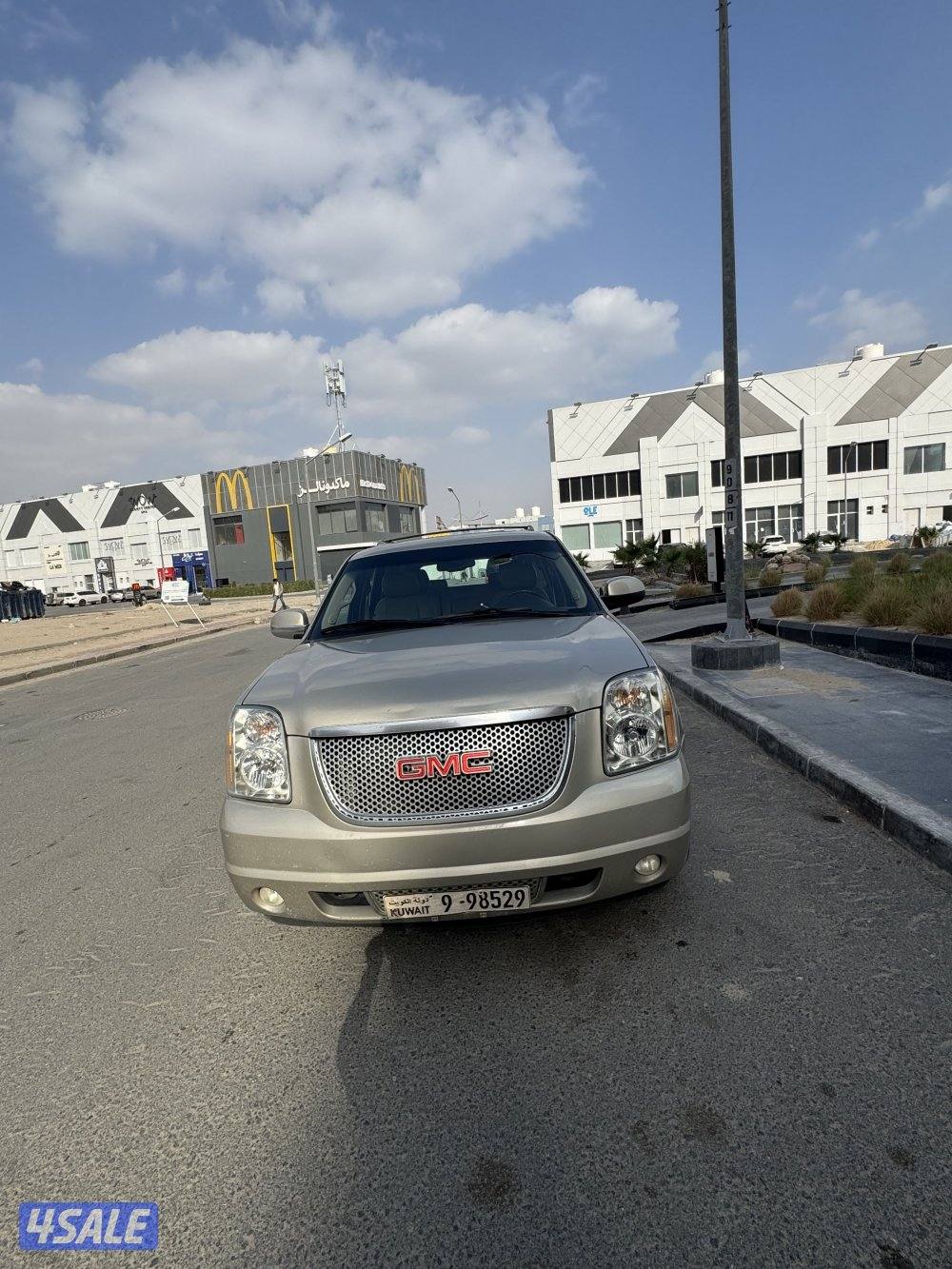 دينالي صبغ وكاله ٢٠١٤8