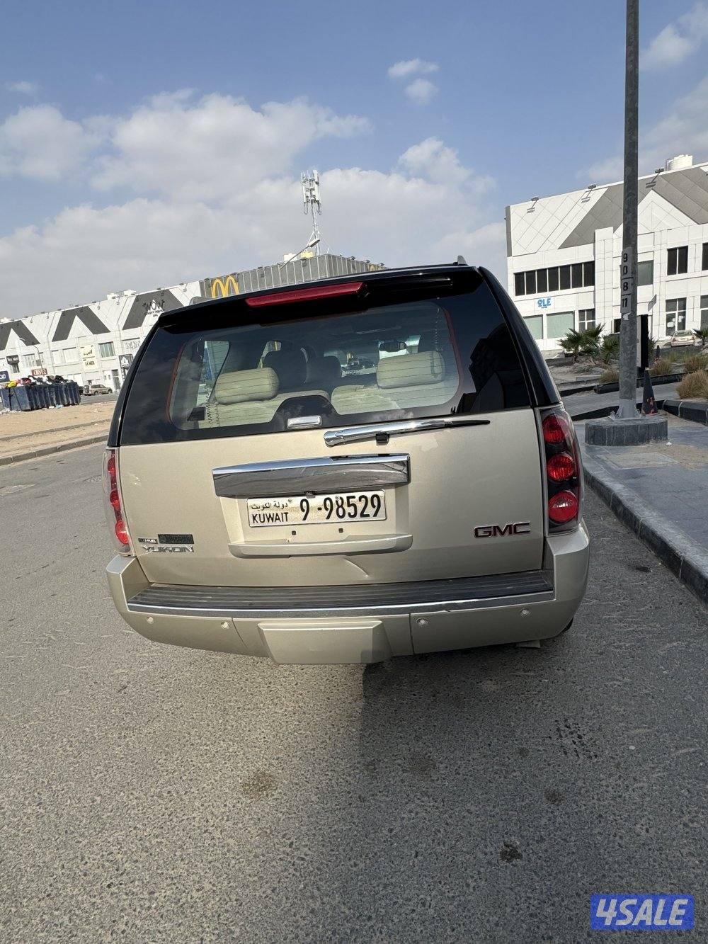 دينالي صبغ وكاله ٢٠١٤10