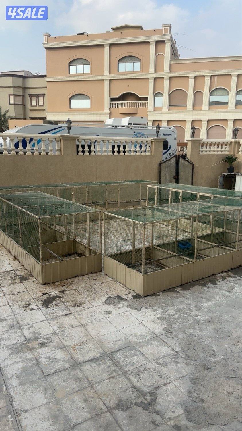 محصار دجاج0