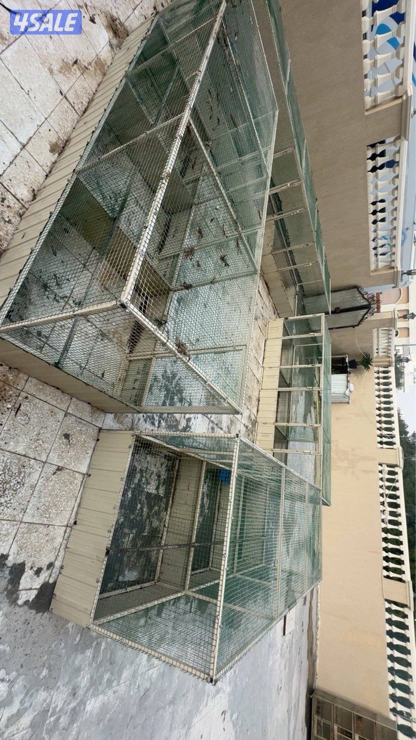 محصار دجاج1