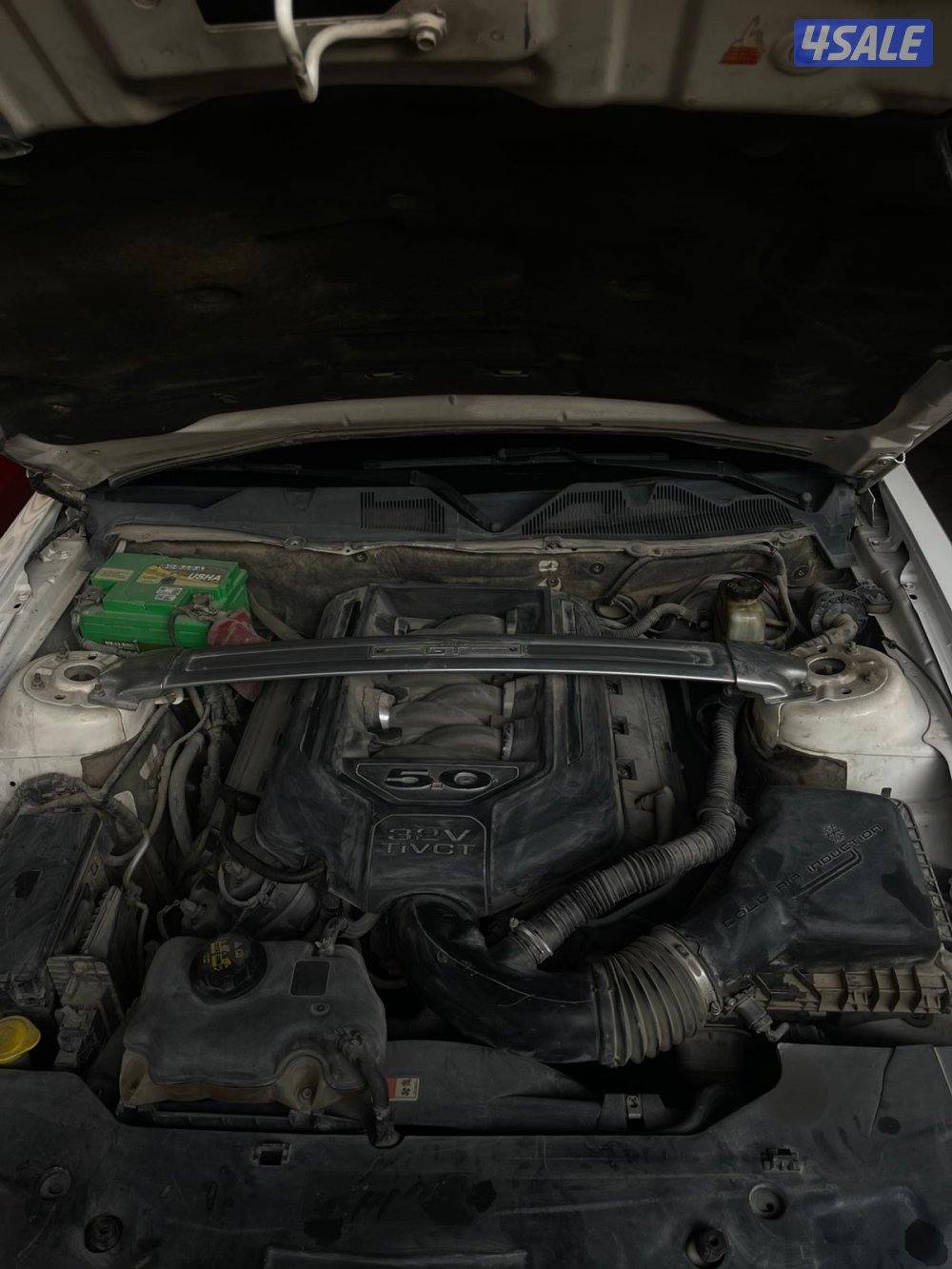 فايف زيرو ٢٠١١3