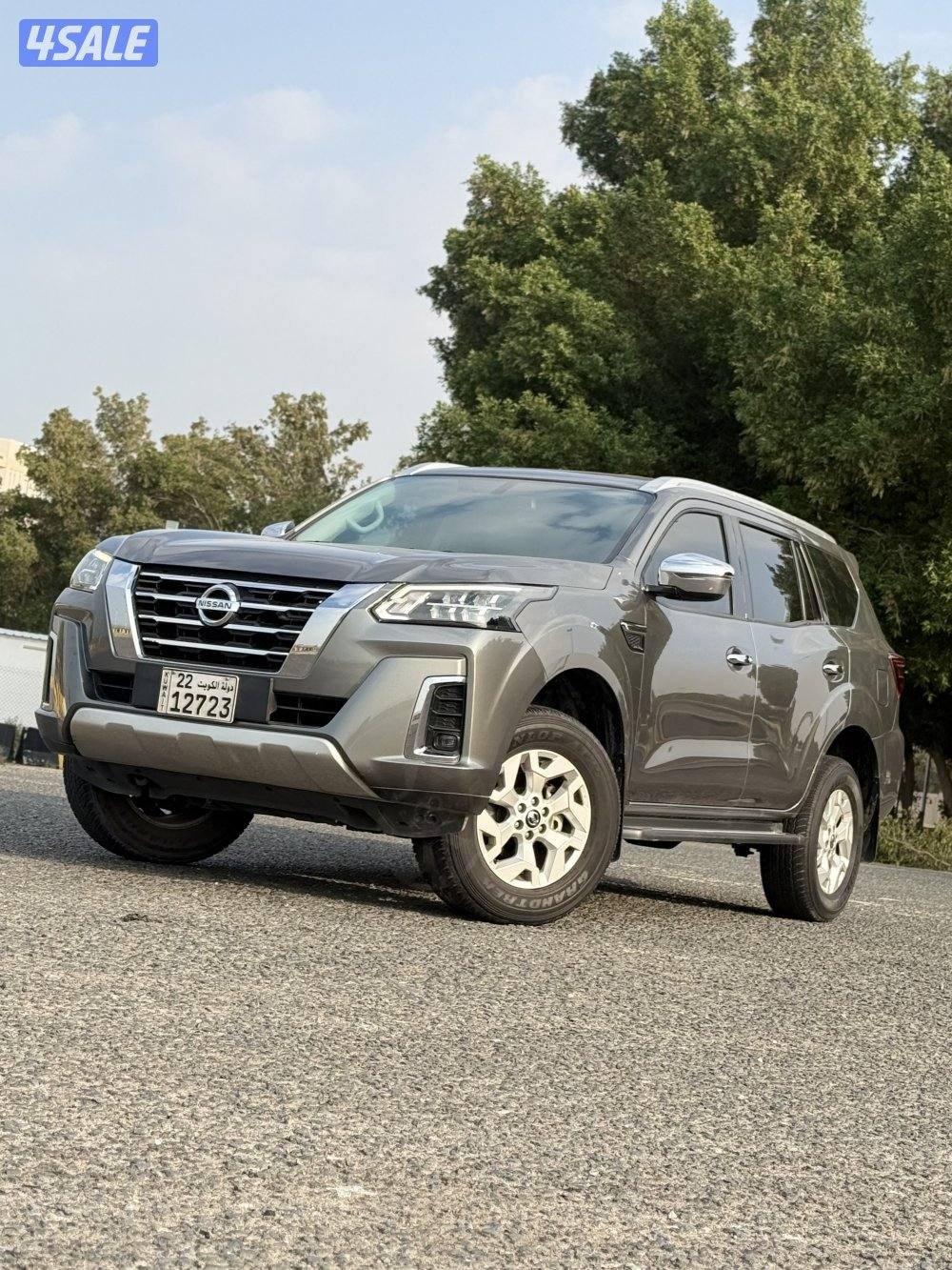 صبغ الوكالة فئة التيتانيوم1