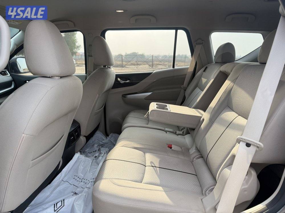 صبغ الوكالة فئة التيتانيوم5