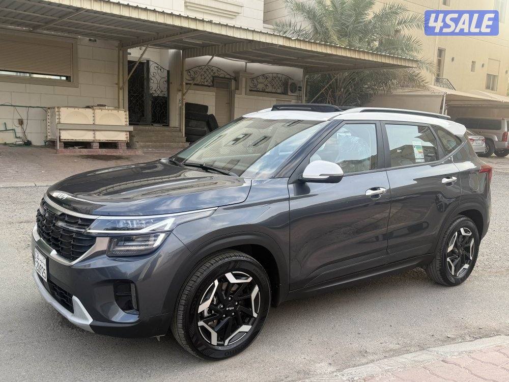 كياسيلتوس 20253