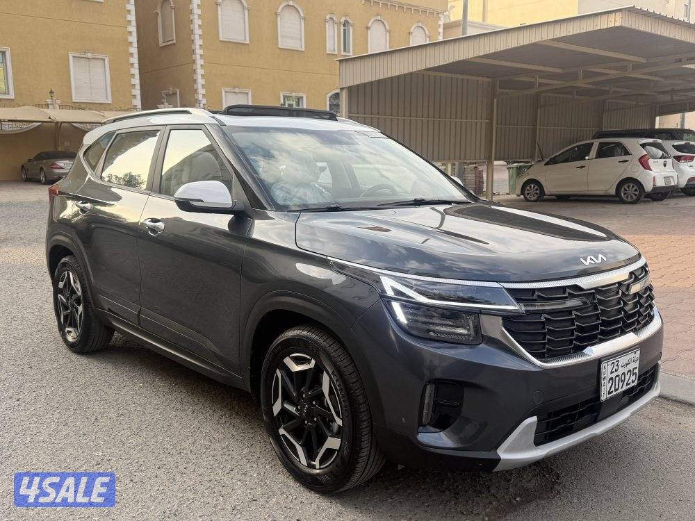 كياسيلتوس 20254