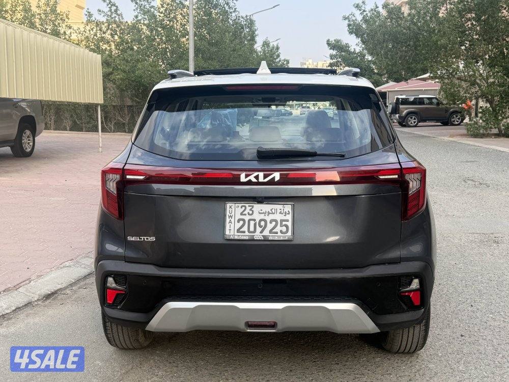 كياسيلتوس 20255