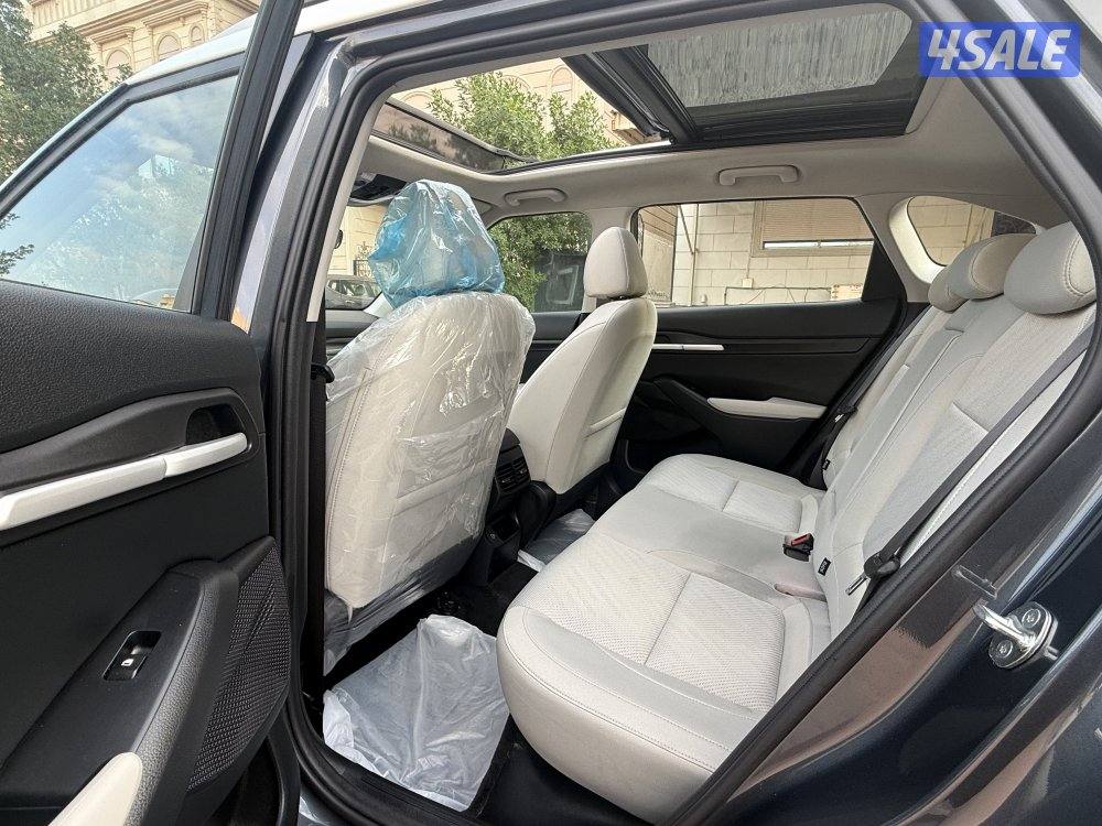 كياسيلتوس 202510