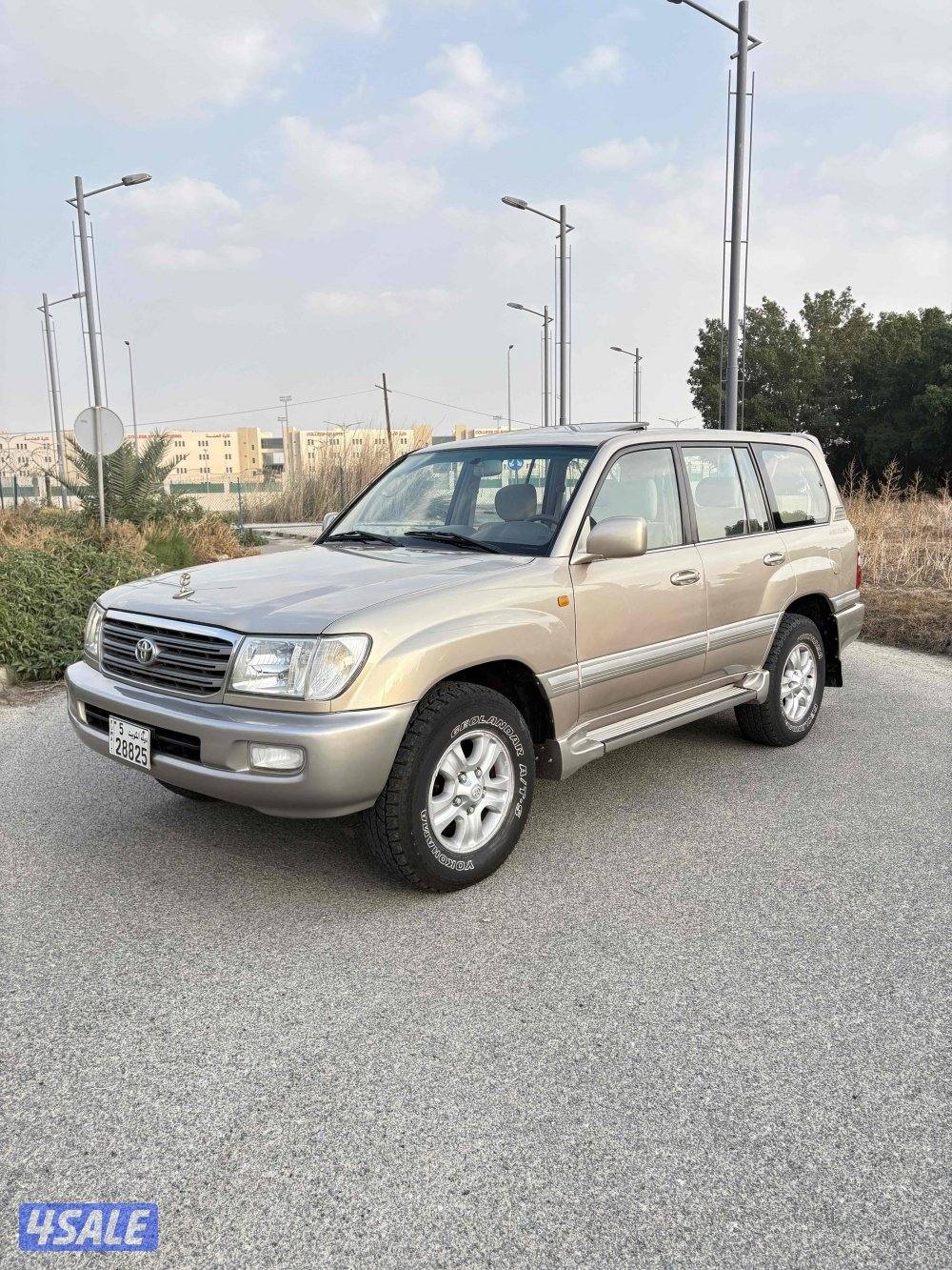 وارد الساير صبغ الوكاله ماعدا 3  قطع0