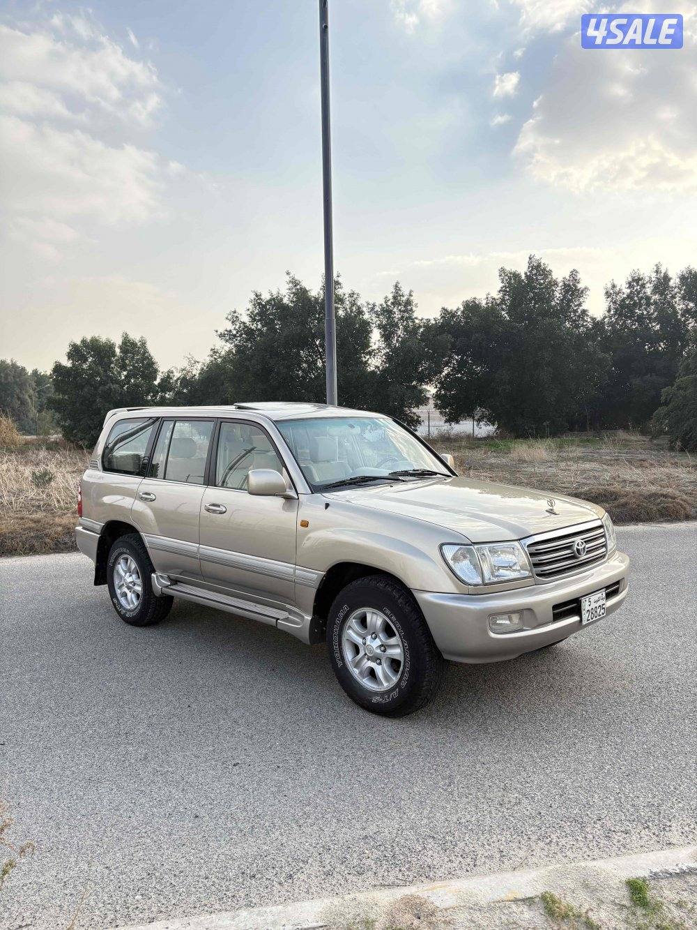 وارد الساير صبغ الوكاله ماعدا 3  قطع1